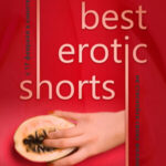 Best Erotic Shorts 3. 18+